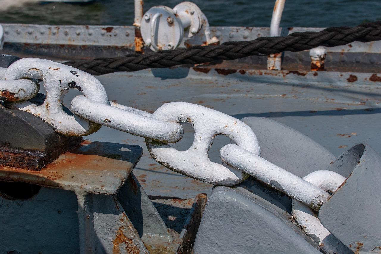 Antifouling illustration